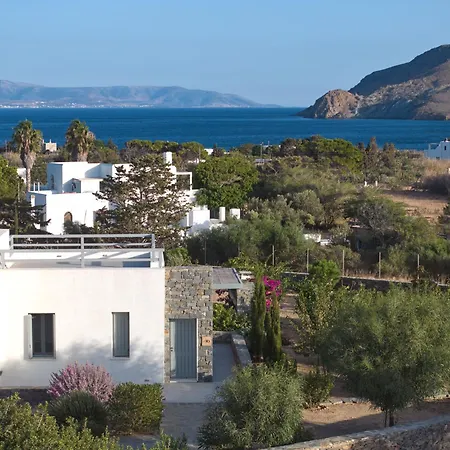 Ramus Paros *